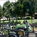 Lawn Maintenance & Care